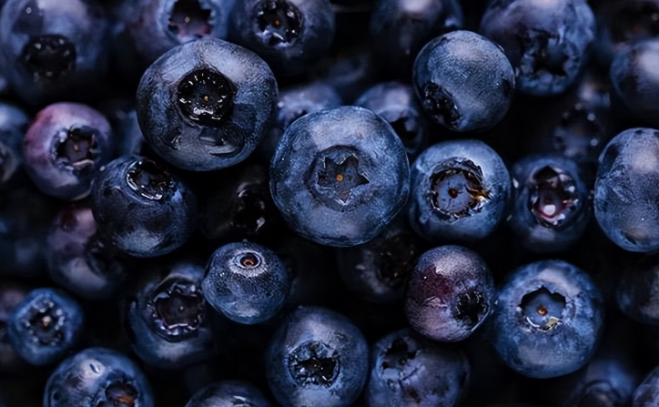 蓝莓果粉、蓝莓汁粉和冻干蓝莓粉有什么区别...