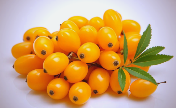 沙棘粉的营养与健康益处