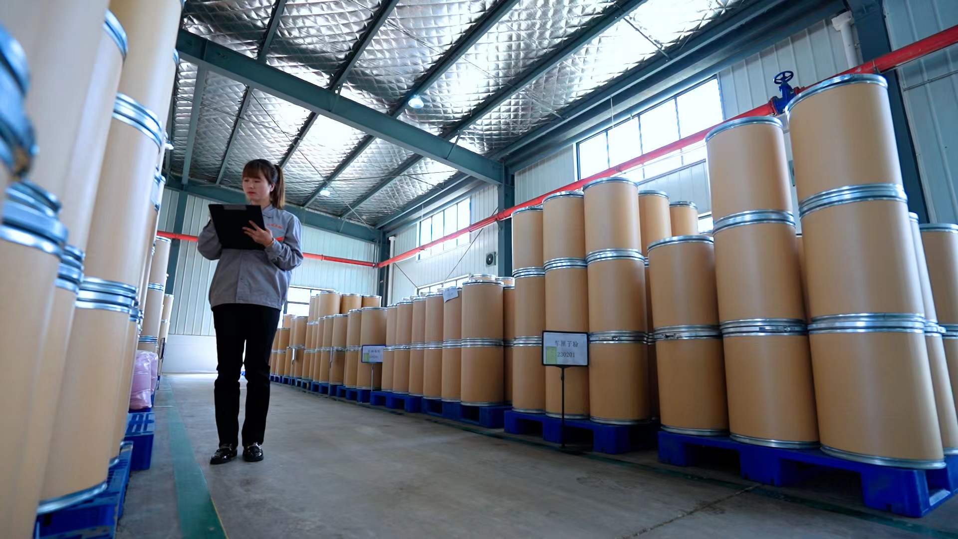 Fruit and vegetable powder processing - Tianzhicui Biotechnology