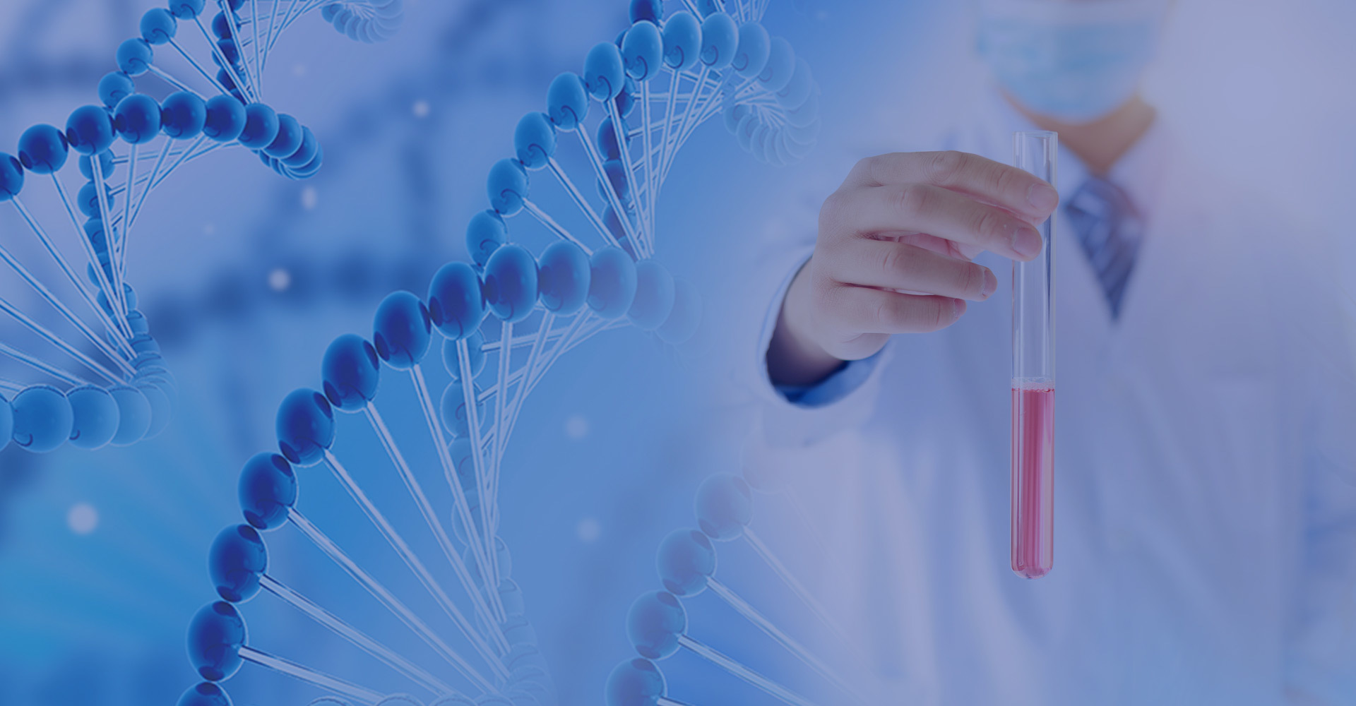 Dedicated to the research, development, production, and sales of medicinal and edible products, plant extracts, fruit and vegetable powders, and solid beverages