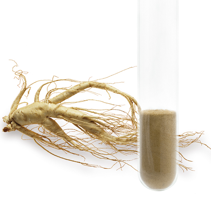 Ginseng Extract