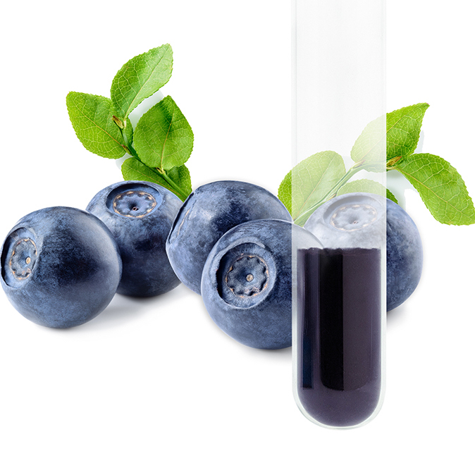 蓝莓提取物