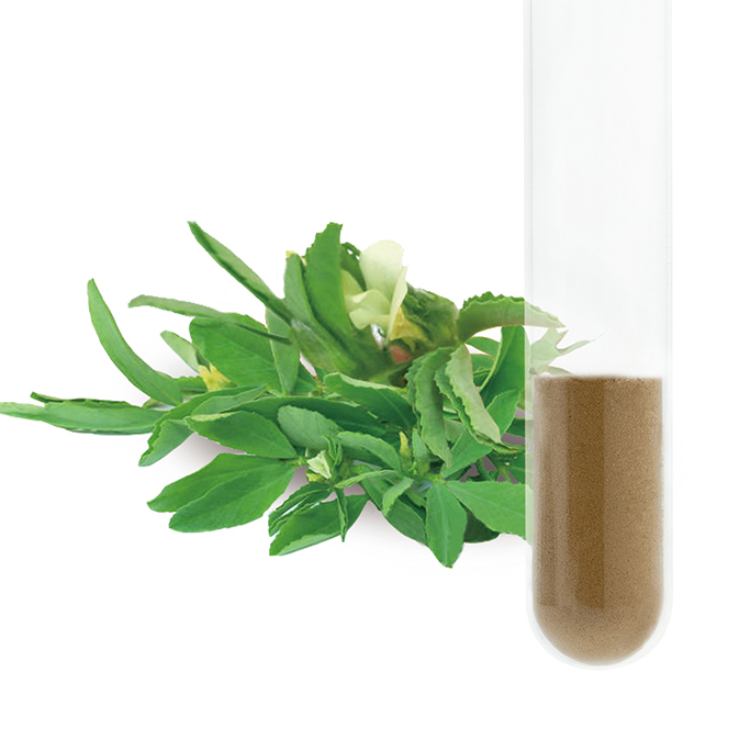 Fenugreek Extract 