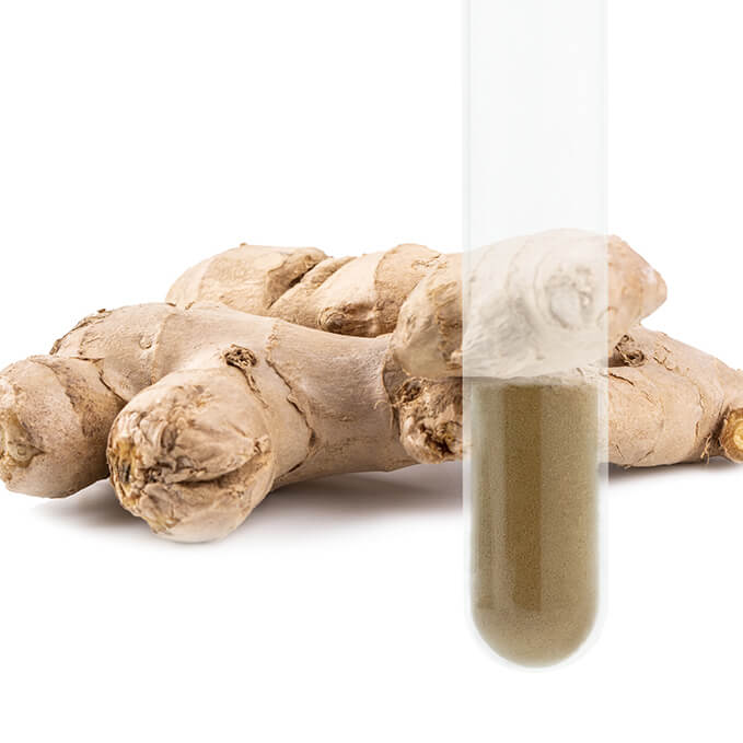 生姜提取物