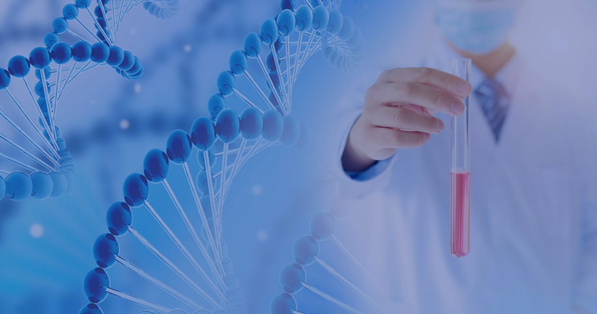 Professional R&D Team