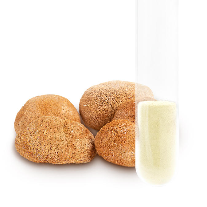 Monkey head mushroom extract