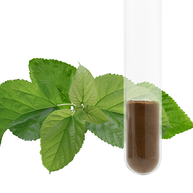 Mulberry leaf extract